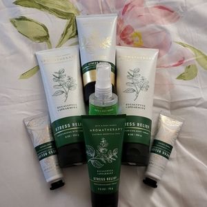 Bath and Body Works Aromatherapy Eucalyptus Spearmint